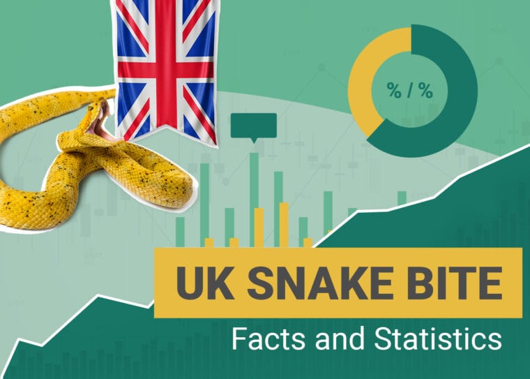 Snake Bite Statistics UK