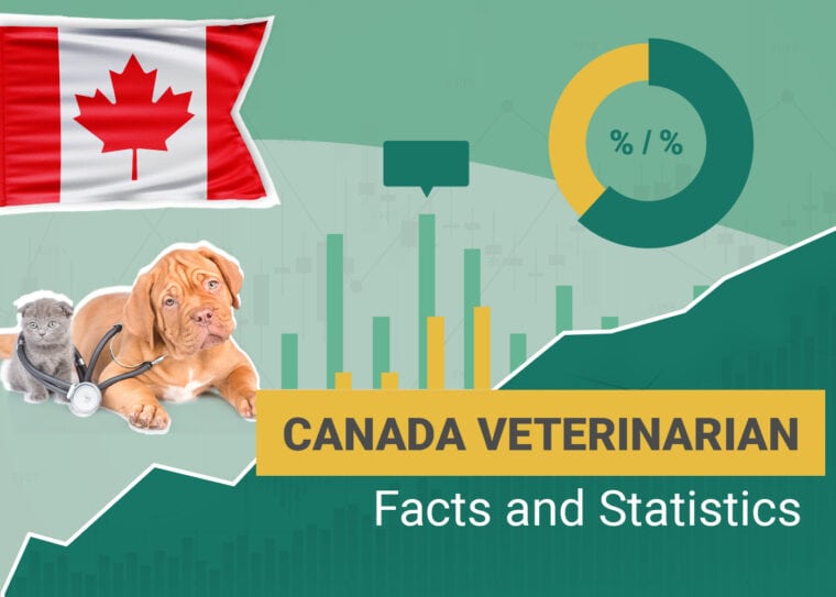 Veterinarian Statistics Canada