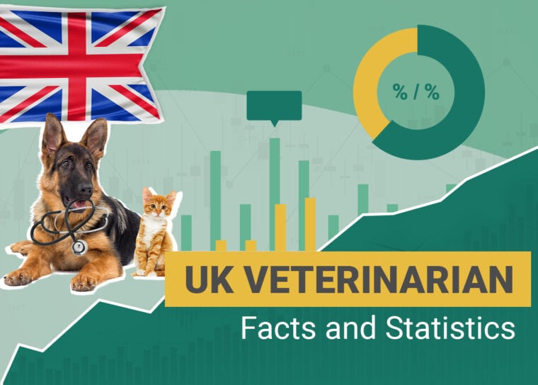 Veterinarian Statistics UK