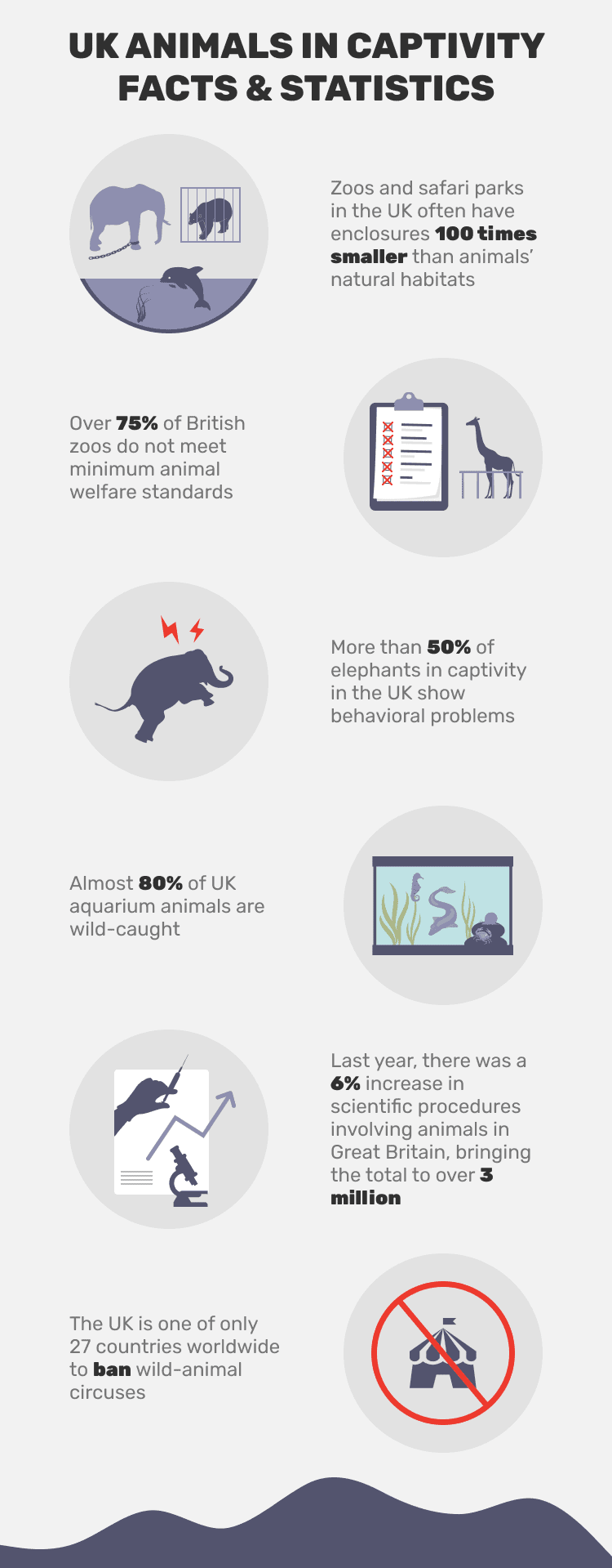 11 Disheartening UK Animals in Captivity Statistics to Know in 2023 | Pet  Keen