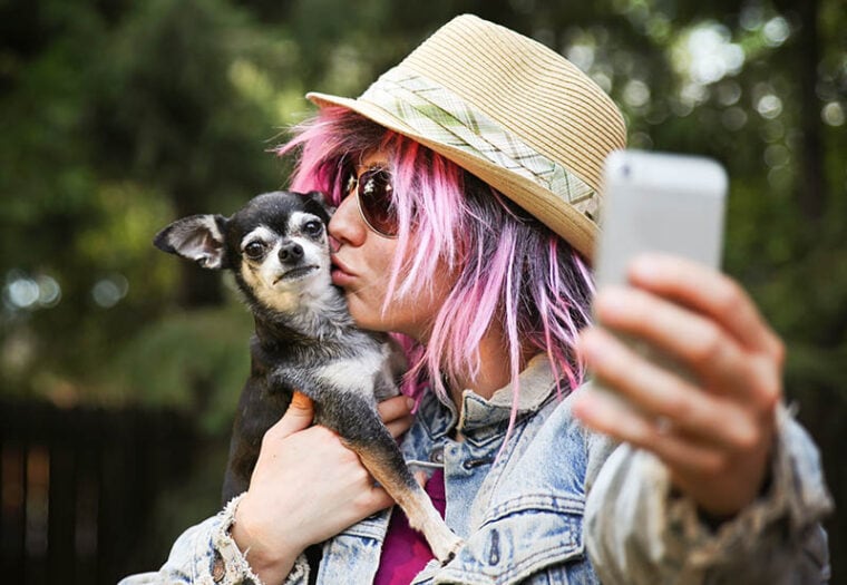 Young woman taking a selfie with a cute chihuahua dog toned with a retro vintage instagram filter effect