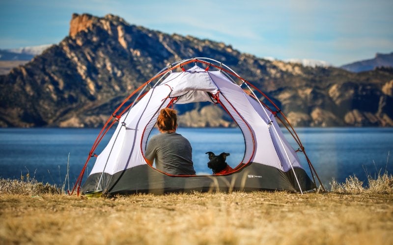 a person and her dog inside a camping tent