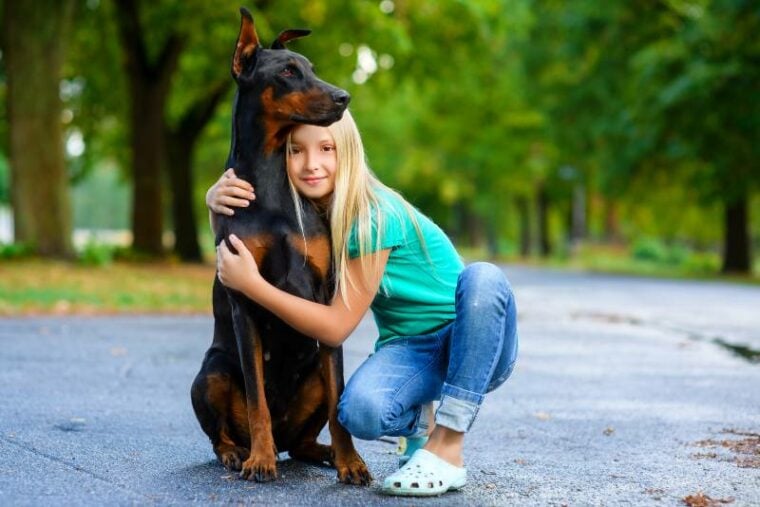 blonde girl hugs her beloved doberman dog in the park