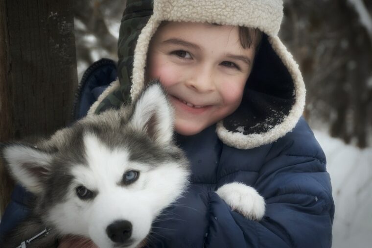boy holding a husky puppy