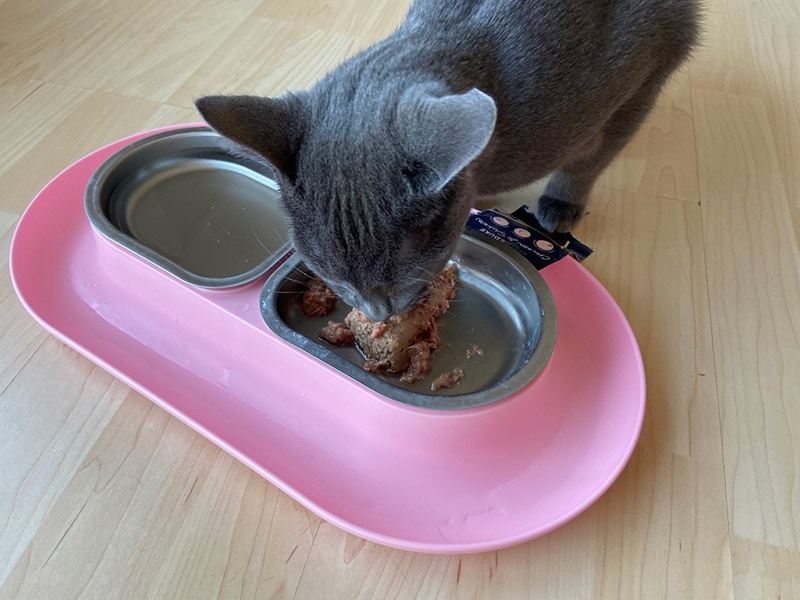cat eating bella and duke cat food on hepper nomnom bowl