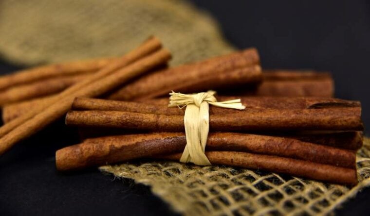 cinnamon sticks tied up