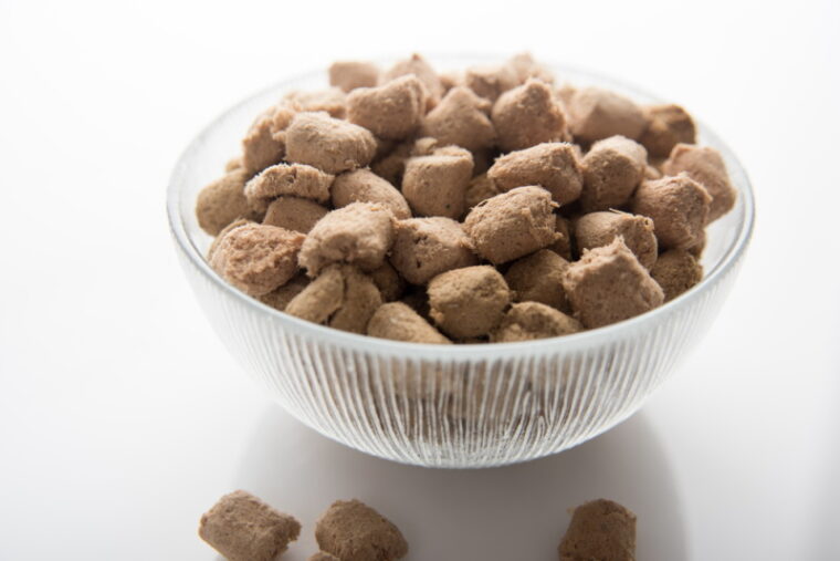 freeze dried dog food in a bowl
