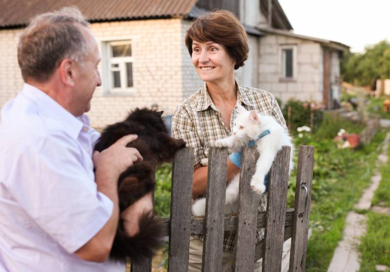 friendly neighbors discussing while holding their pet cats