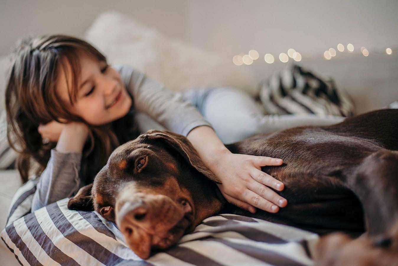 girl and brown doberman dog