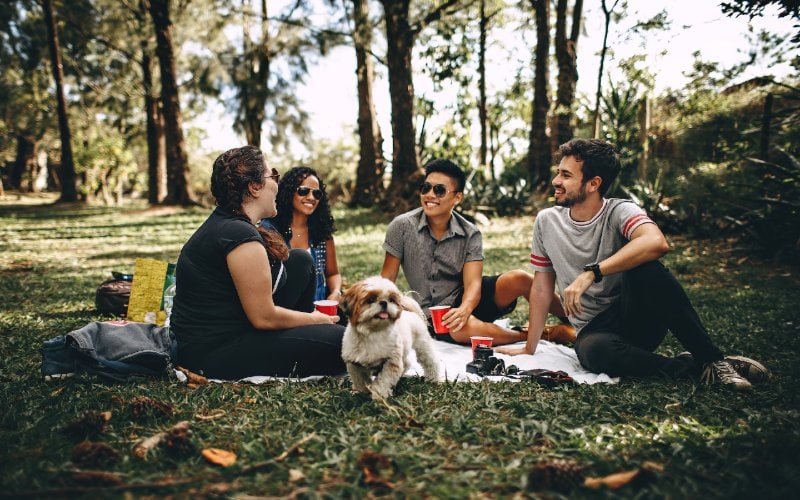 group of people with a dog sitting on a picnic blanket on the grass