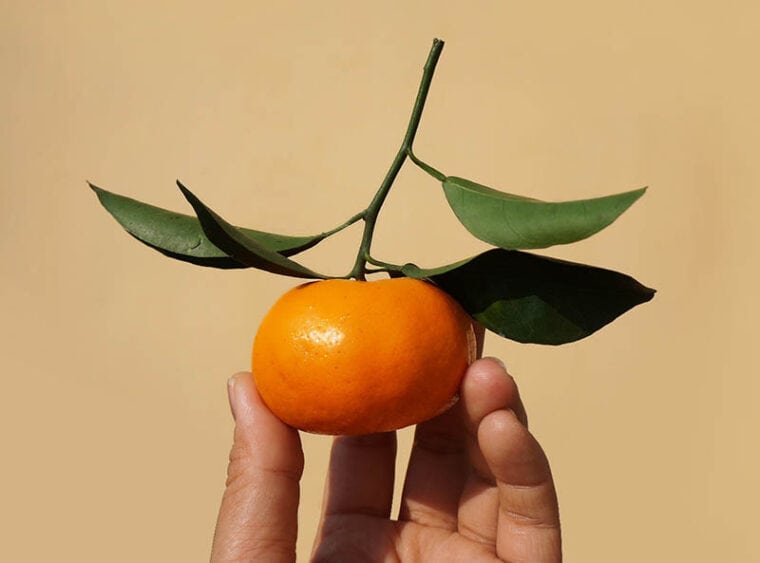 hand holding tangerine