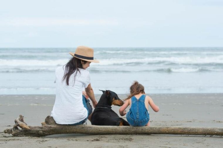 mother looking after her daughter and their doberman dog at the beach