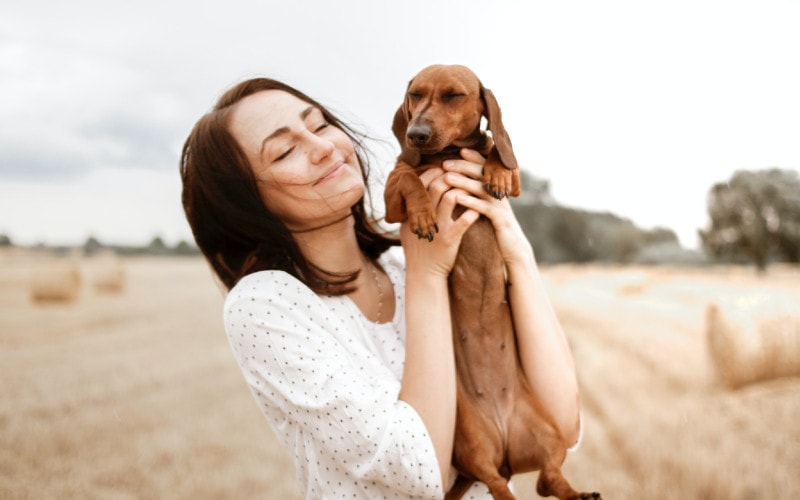 woman holding up a brown dachshund dog in a field