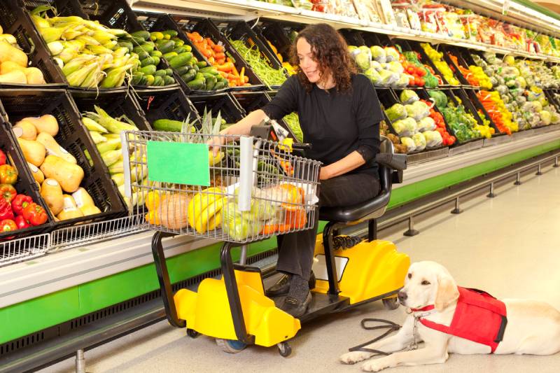 mujer en silla de ruedas con la ayuda de un perro entrenado comprando comida en el mercado