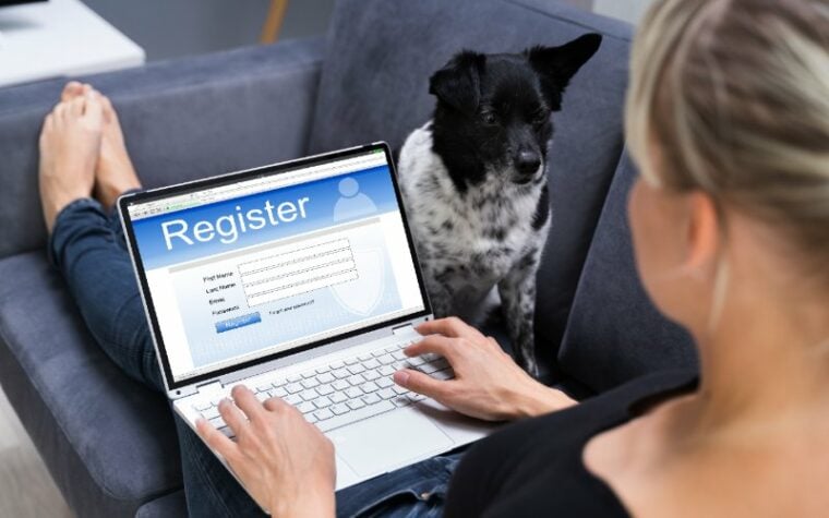 woman on the couch registering her dog online