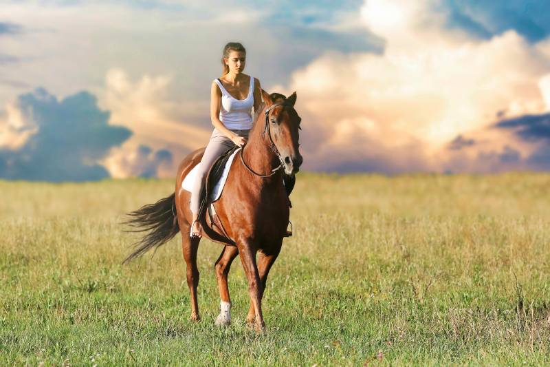 woman riding a horse in the field