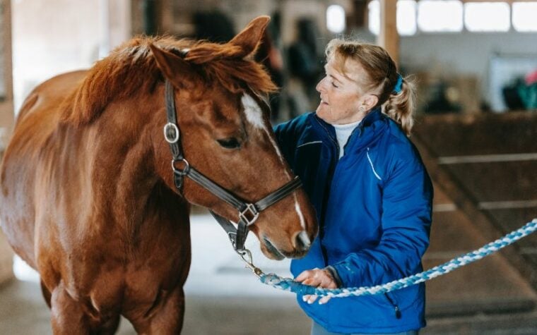 woman taking care of a brown horse inside a stable