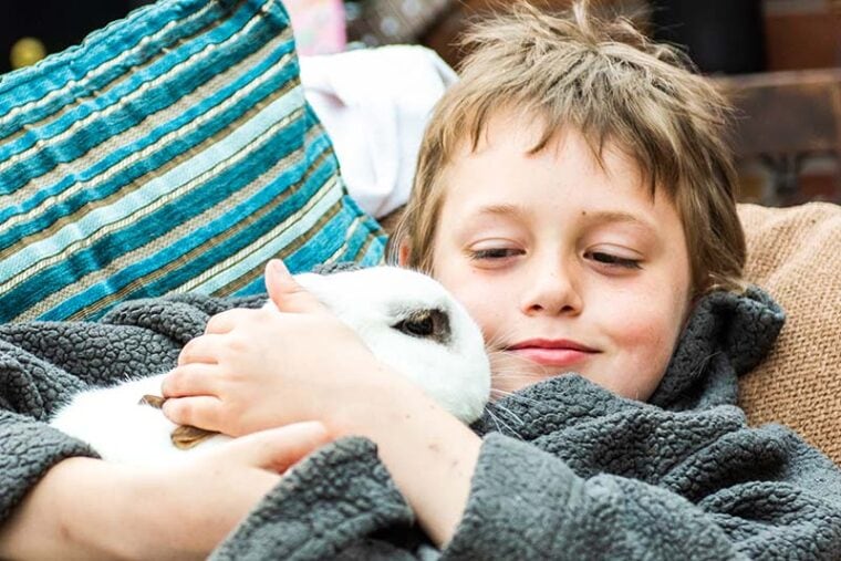 A little boy with ADHD cuddles his pet rabbit