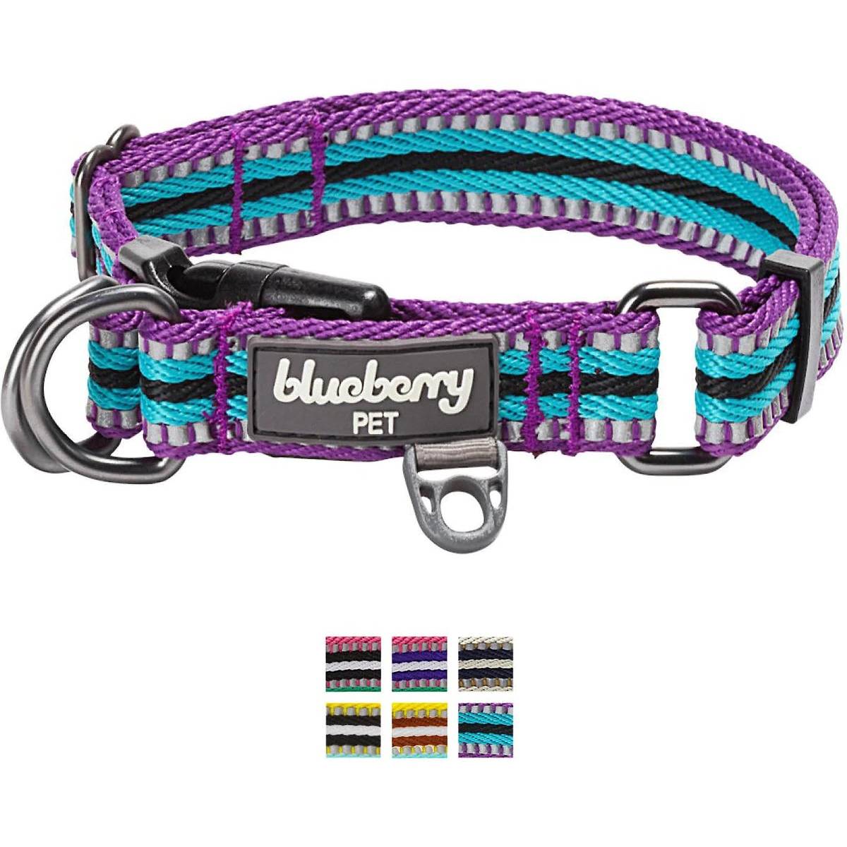 Blueberry Pet 3M Multi-Colored Dog Collar
