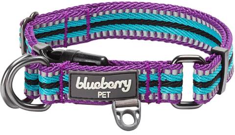 Blueberry Pet 3M Multi-Colored Reflective Dog Collar