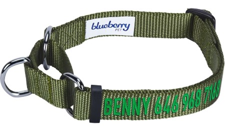 Blueberry Pet Safety Training Personalized Martingale Dog Collar