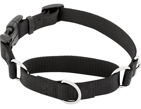 Frisco Solid Nylon Martingale Dog Collar with Buckle