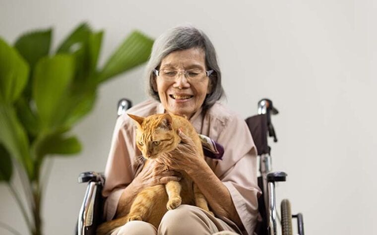 Pet therapy in dementia treatment on elderly woman