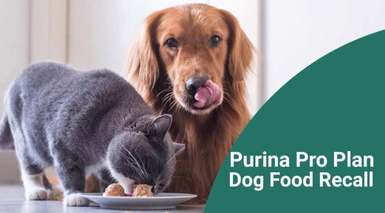 Purina pro plan dog food recall