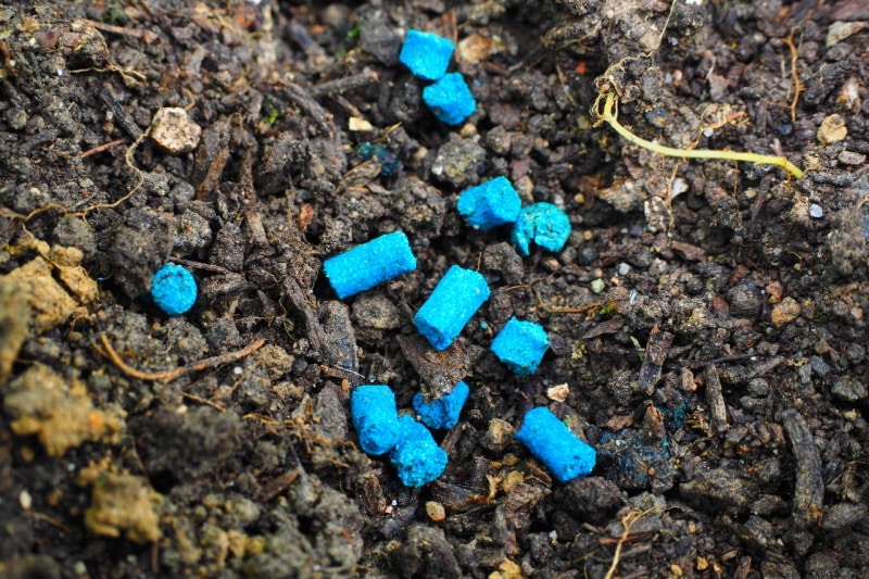 Rodenticide scattered on the ground