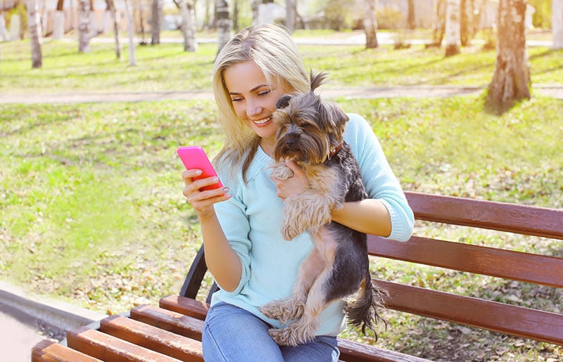 Young smiling girl owner holding phone with yorkshire terrier dog sitting in park