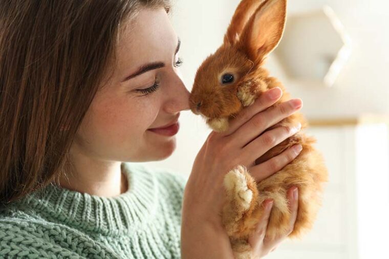 Young woman with adorable rabbit indoors