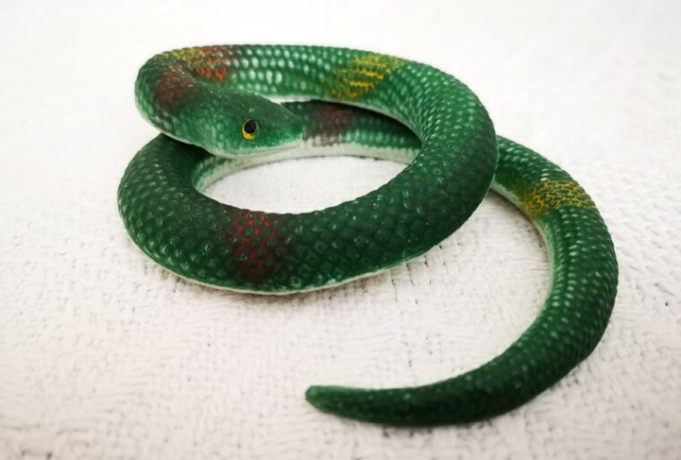 a green rubber snake toy
