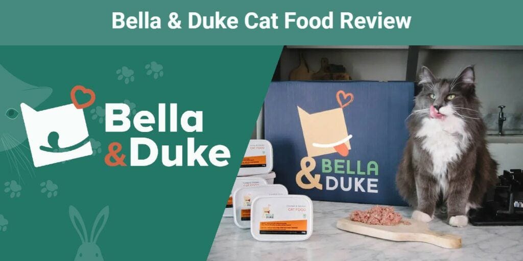 bella and duke cat food review pk2