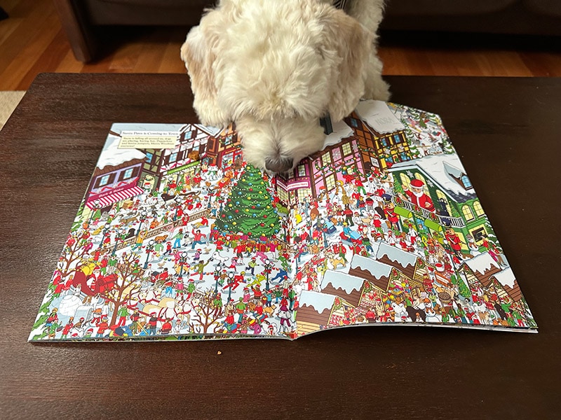 dog looking at yappy's picture puzzle book