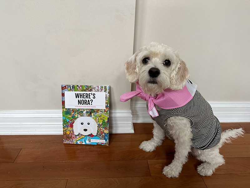 dog sitting near picture puzzle book while wearing yappy's bandana 