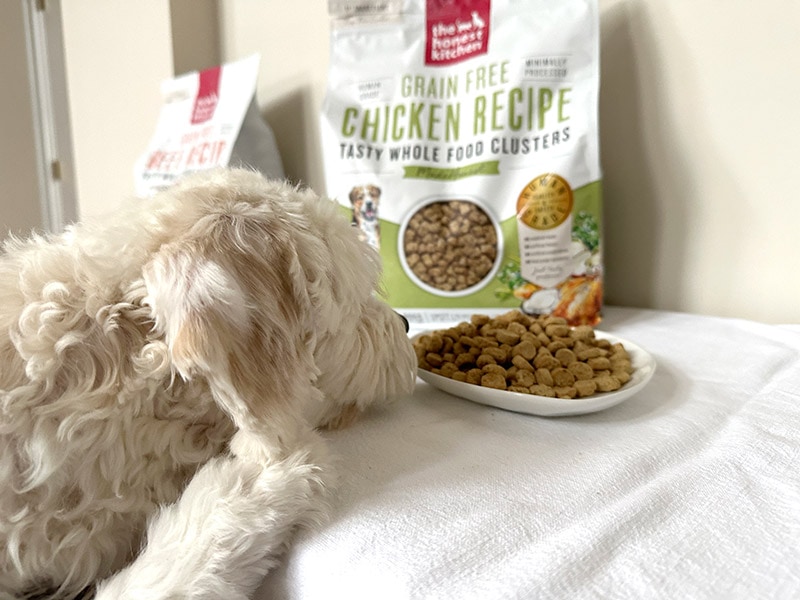 The Honest Kitchen Dog Food Review 2024