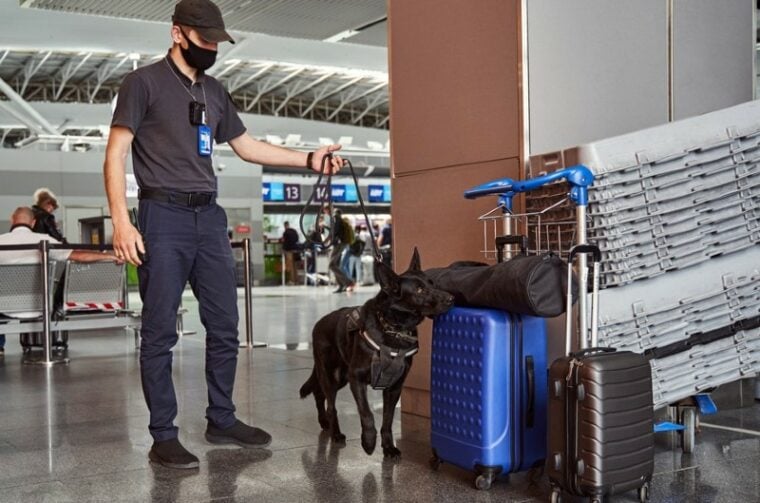 conductor y perro detector en un aeropuerto