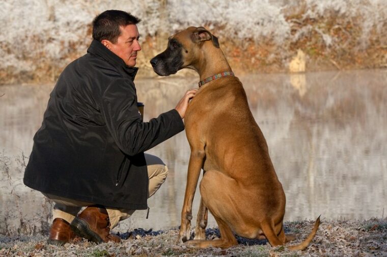man with his great dane dog by the pond