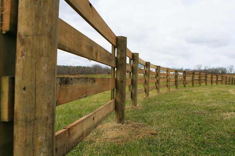 A line of fencing along a pasture