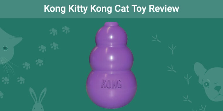 Kong Kitty Kong Cat Toy Revisión ft