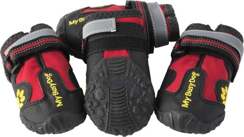 My Busy Dog Water Resistant Dog Shoes