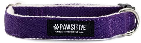 Pawsitive Hemp Dog Collar