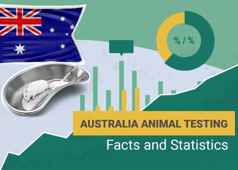Animal Testing Statistics Australia
