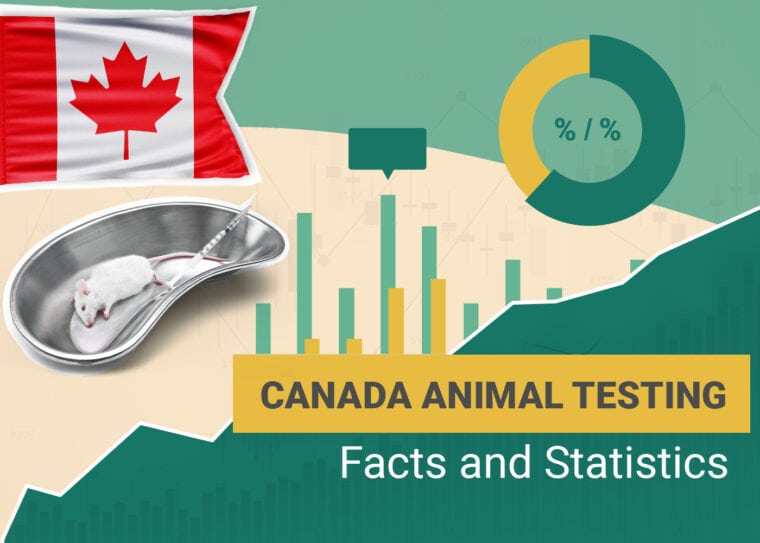 Animal Testing Statistics Canada