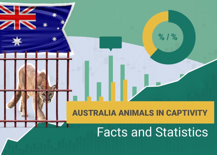 Animals in Captivity Statistics Australia