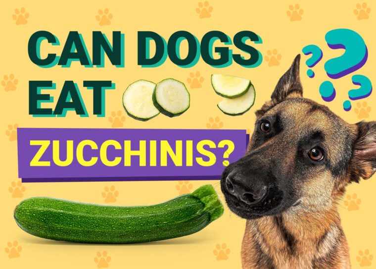 Can Dogs Eat_zucchinis