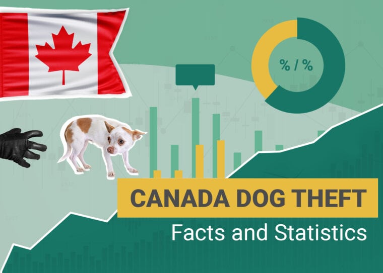 Dognapping Statistics Canada