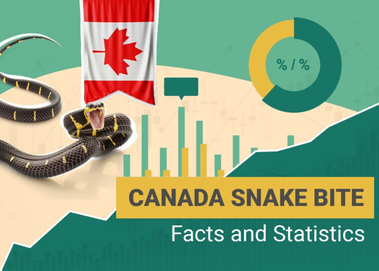 Snake Bite Statistics Canada