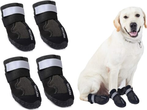 Proplums Waterproof Dog Boots