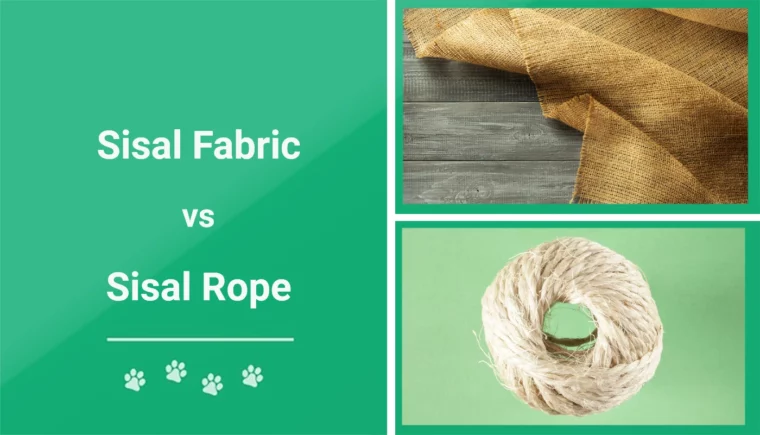 Sisal Fabric vs Sisal Rope - Featured Image